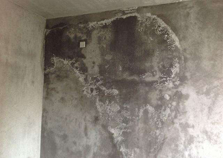 1595666091346313.png timg.jpg.png